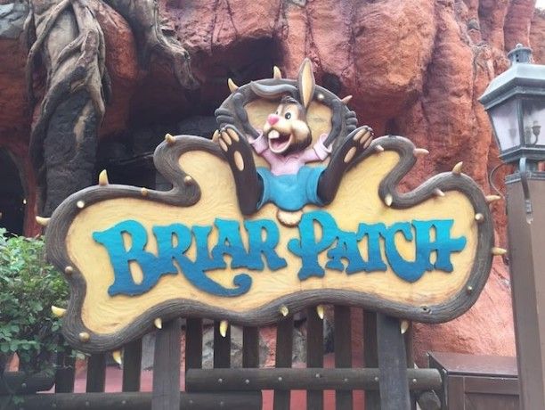 walt disney world magic kingdom shopping splash mountain gift shop disney merchandise