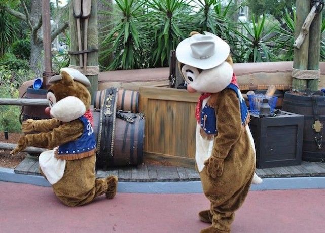 walt disney world magic kingdom best character meet and greets rides and reviews