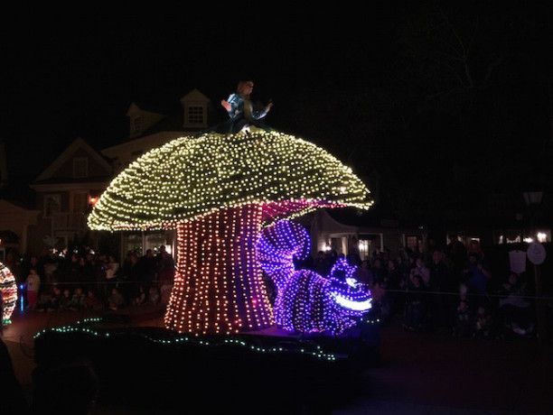 walt disney world magic kingdom nighttime parade light show