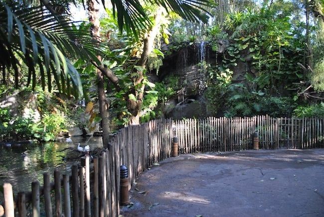 walt disney world disney's animal kingdom best rides attractions and shows reviews