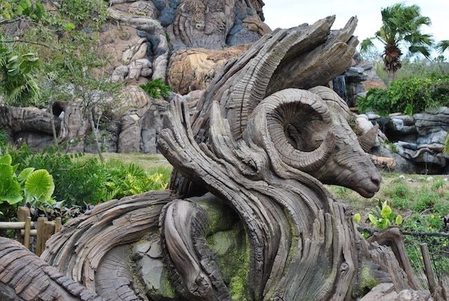 walt disney world disney's animal kingdom best rides attractions shows and details