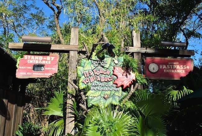 walt disney world disney's animal kingdom best rides attractions shows and reviews