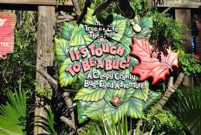 walt disney world disney's animal kingdom best rides attractions shows and reviews