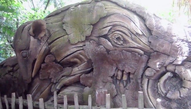 walt disney world disney's animal kingdom best reviewed rides attractions and shows