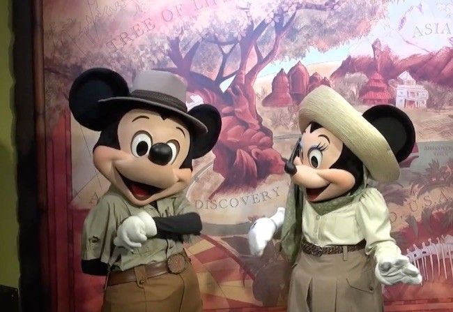 walt disney world disney's animal kingdom best character meet and greet locations