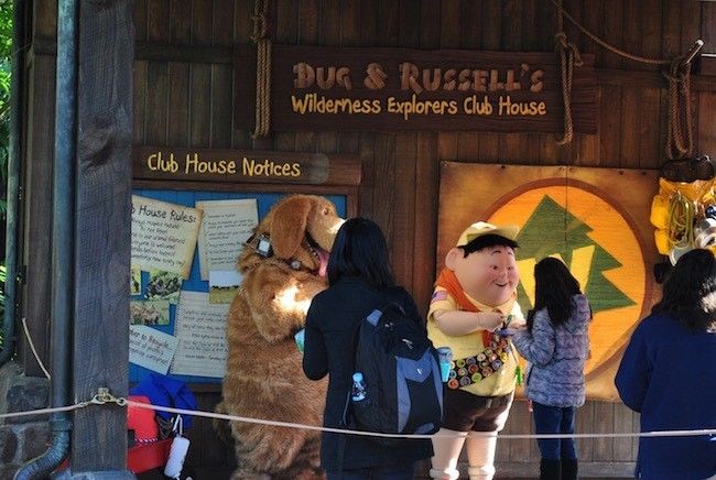 walt disney world disney's animal kingdom best character meet and greet locations