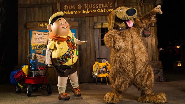 walt disney world disney's animal kingdom best character meet and greet locations