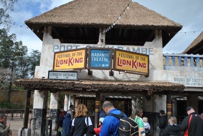 walt disney world disney's animal kingdom reviews of the best rides attractions and shows