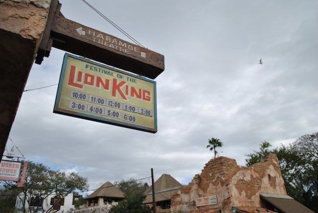 walt disney world disney's animal kingdom reviews of the best rides attractions and shows