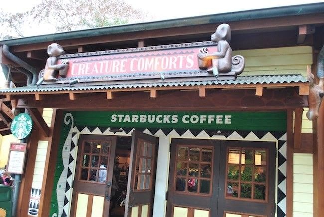 walt disney world disney's animal kingdom best dining and quick service menus and reviews