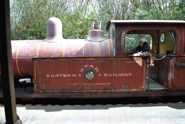 walt disney world disney's animal kingdom best rides attractions shows and trains in disney world