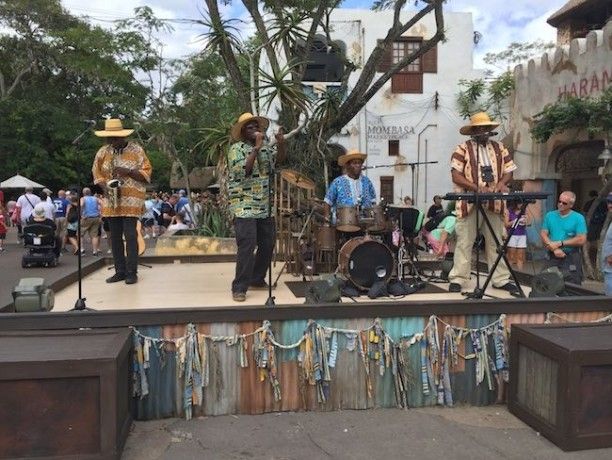 walt disney world disney's animal kingdom best entertainment shows rides and attractions