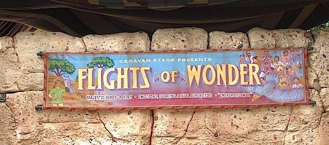 walt disney world animal kingdom best shows rides and attractions