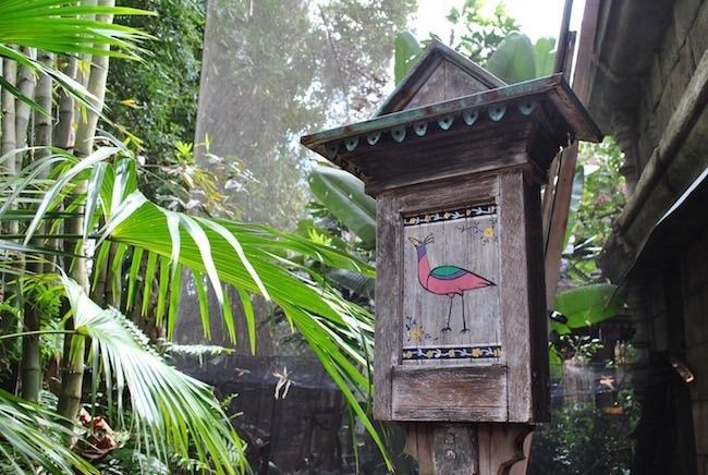 walt disney world disney's animal kingdom best rides shows attractions restaurants menus and reviews in disney world