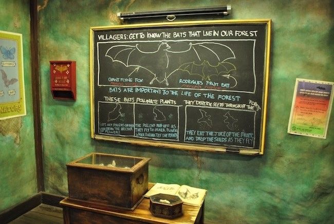 walt disney world disney's animal kingdom best rides shows attractions restaurants menus and reviews in disney world