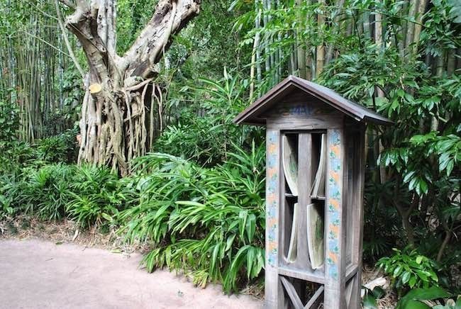 walt disney world disney's animal kingdom best rides shows attractions restaurants menus and reviews in disney world