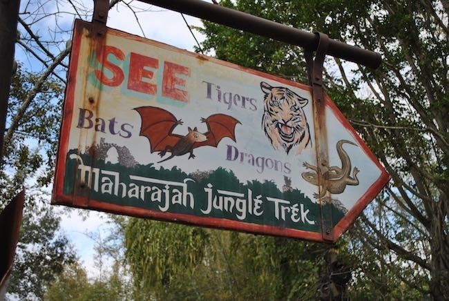 walt disney world disney's animal kingdom best rides shows attractions restaurants menus and reviews in disney world