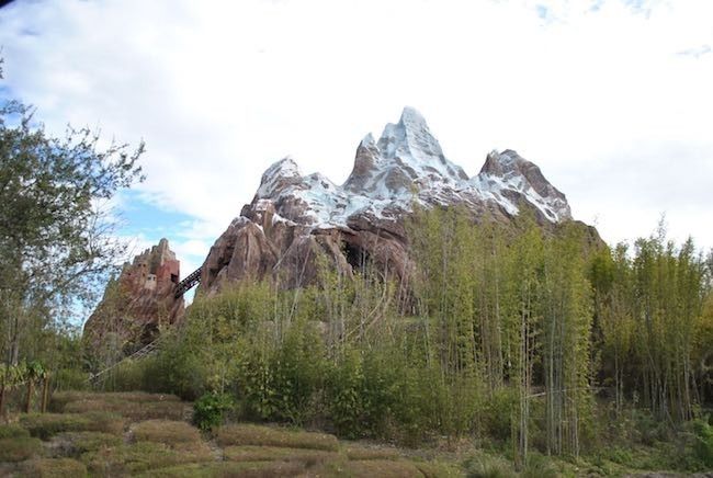 walt disney world disney's animal kingdom best reviewed rides attractions and shows at disney world