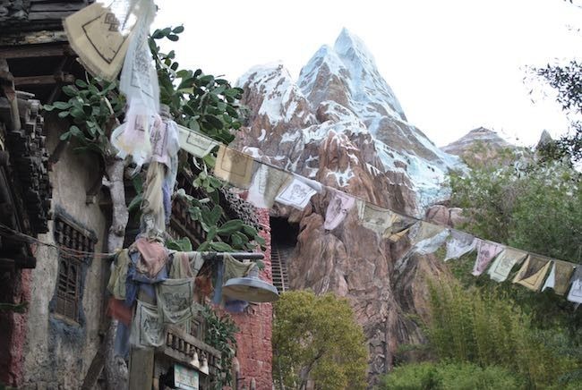 walt disney world disney's animal kingdom best reviewed rides attractions and shows at disney world