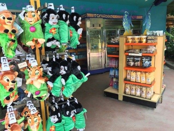 walt disney world disney's animal kingdom rafiki's planet watch gift shop best shopping at disney world