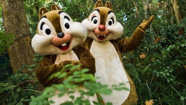 Walt Disney World Disney's Animal Kingdom best meet and greet and reviews at disney world