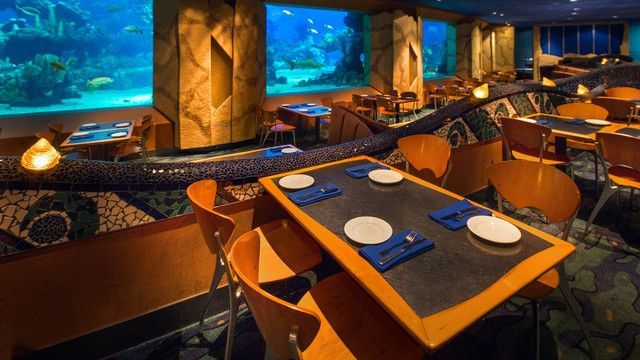 best dining experiences at epcot in walt disney world