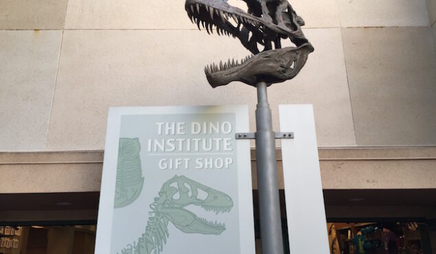 The Dino Institute Shop (Animal Kingdom, DinoLand ., Shopping) | WDW  Kingdom