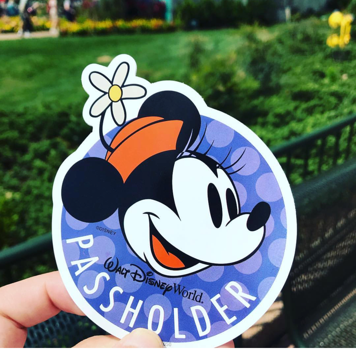 new walt disney world annual passholder minnie mouse spring-themed