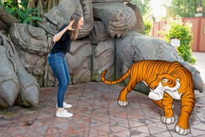 disney's photopass at animal kingdom