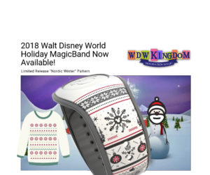 disney magicbands