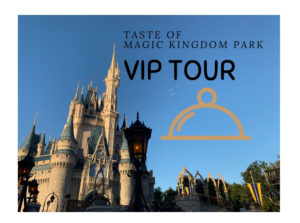 taste of magic kingdom park vip tour reviews