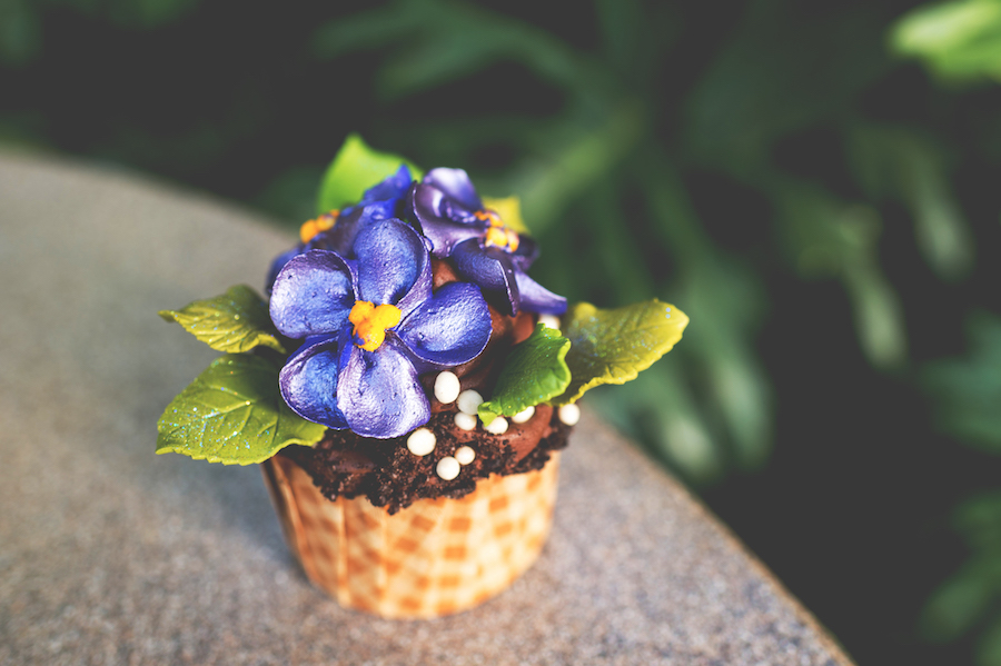 african violet cupcake animal kingdom lodge