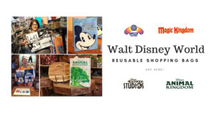 disney reusable shopping bags