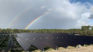 new disney wold solar farm